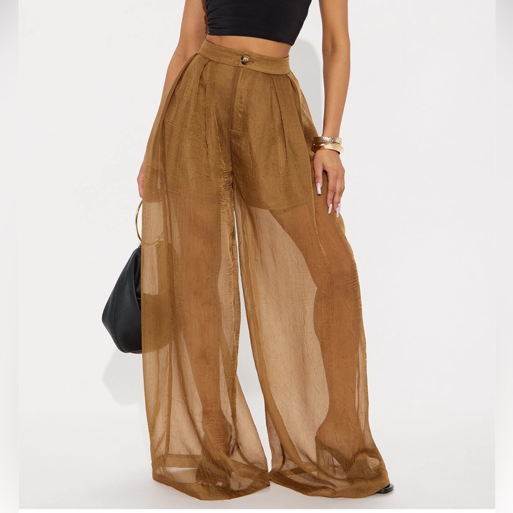 Sheer Wide-Leg Mesh Pants - Brown